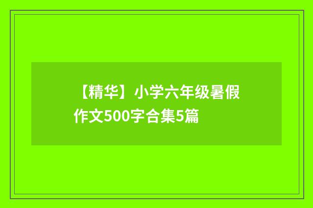 【精华】小学六年级暑假作文500字合集5篇