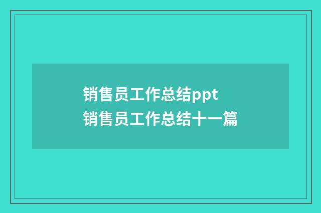 销售员工作总结ppt 销售员工作总结十一篇