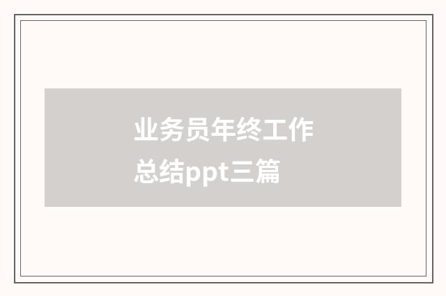 业务员年终工作总结ppt三篇