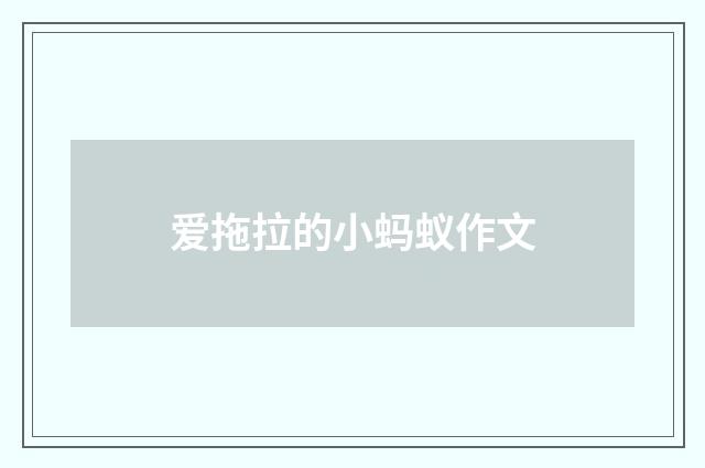 爱拖拉的小蚂蚁作文