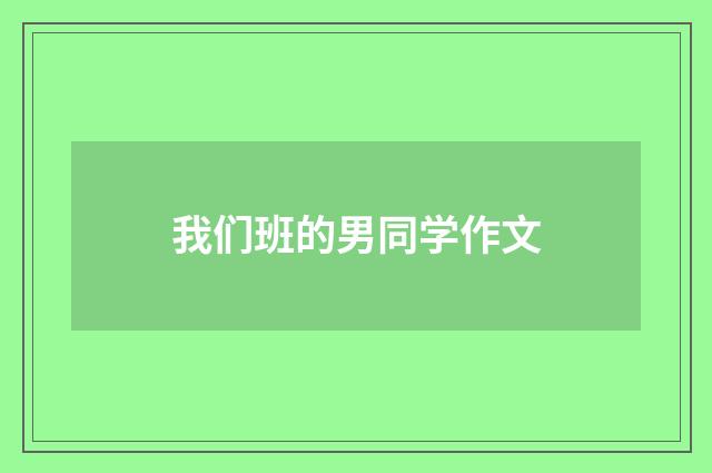 我们班的男同学作文