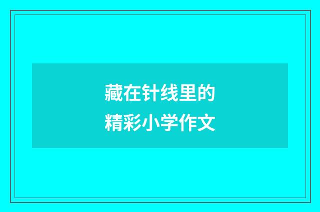 藏在针线里的精彩小学作文