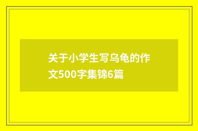关于小学生写乌龟的作文500字集锦6篇