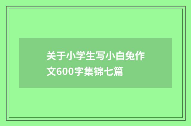 关于小学生写小白兔作文600字集锦七篇