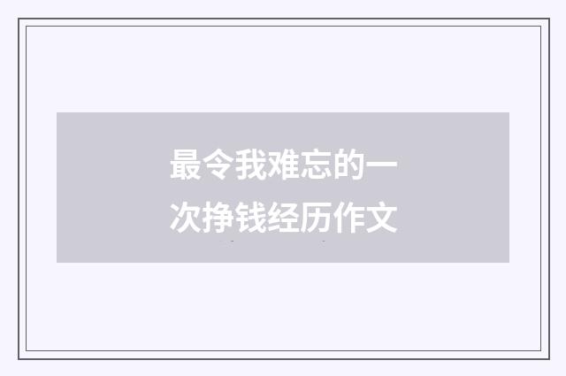 最令我难忘的一次挣钱经历作文