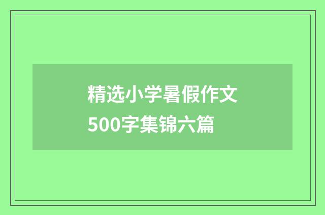 精选小学暑假作文500字集锦六篇