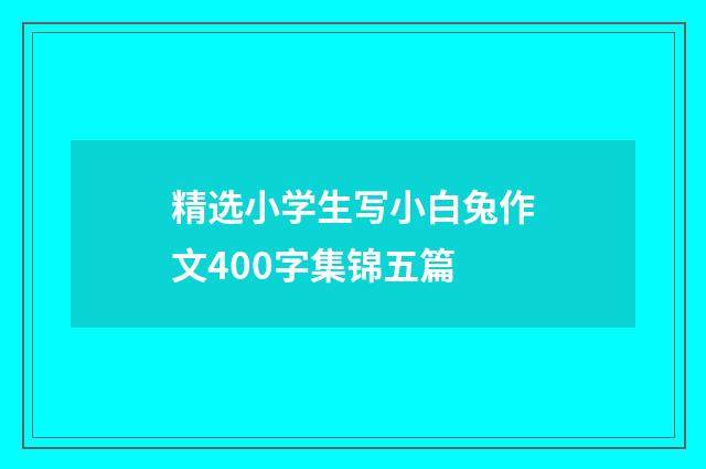 精选小学生写小白兔作文400字集锦五篇