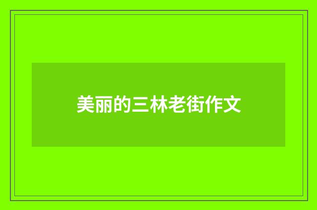 美丽的三林老街作文