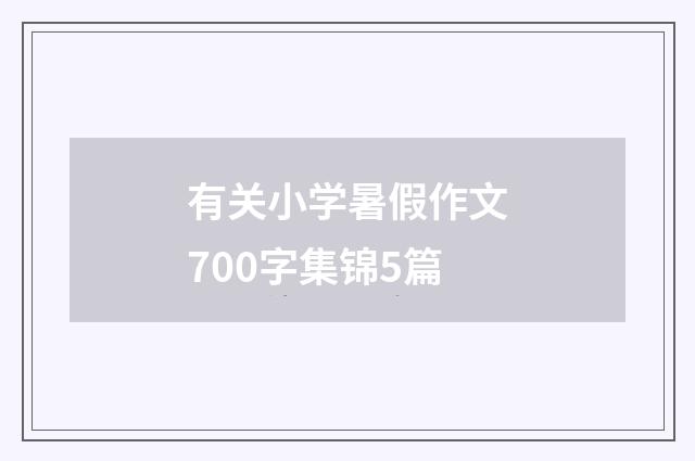 有关小学暑假作文700字集锦5篇