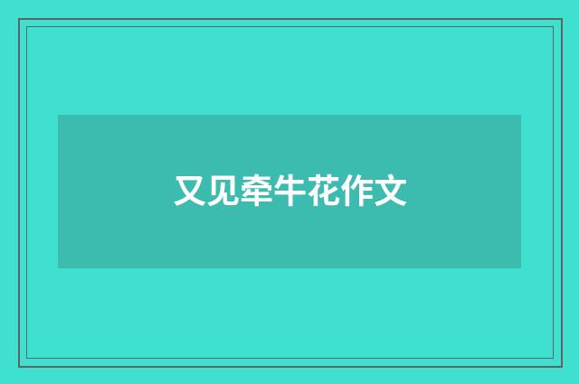 又见牵牛花作文