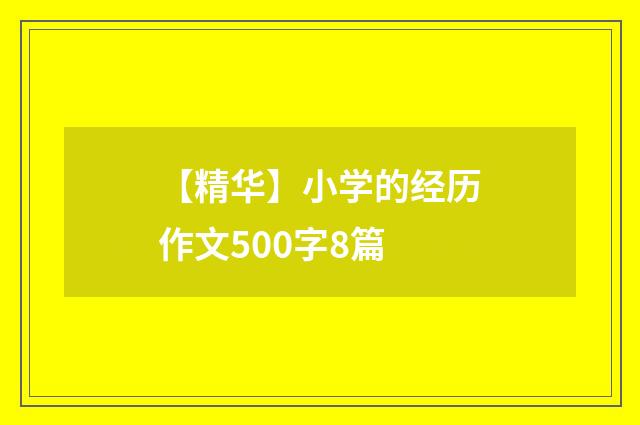【精华】小学的经历作文500字8篇