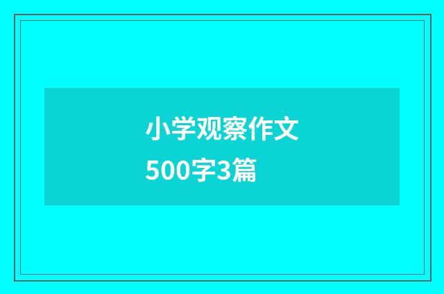 小学观察作文500字3篇