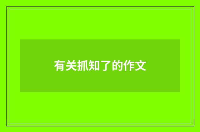 有关抓知了的作文