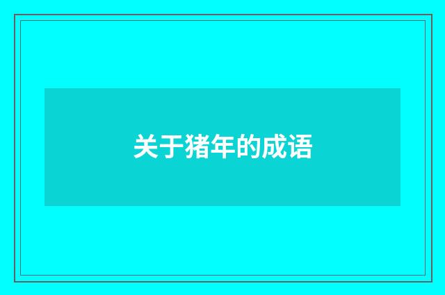 关于猪年的成语