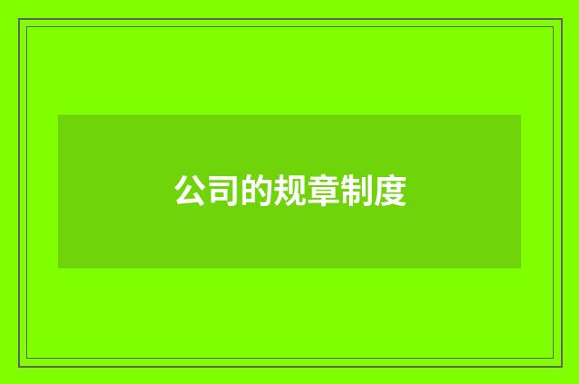公司的规章制度