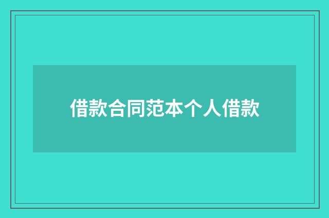 借款合同范本个人借款