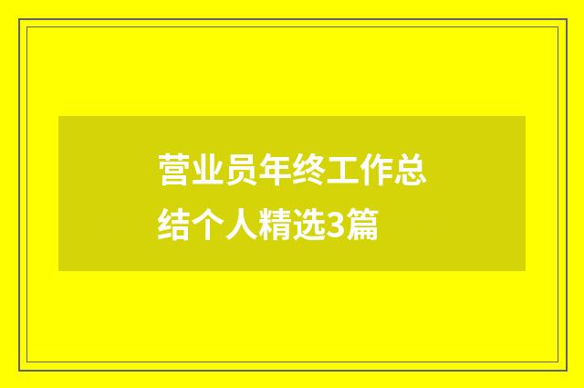 营业员年终工作总结个人精选3篇