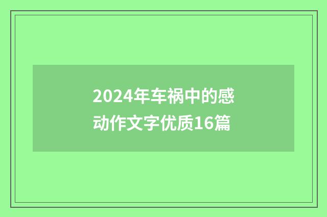 2024年车祸中的感动作文字优质16篇