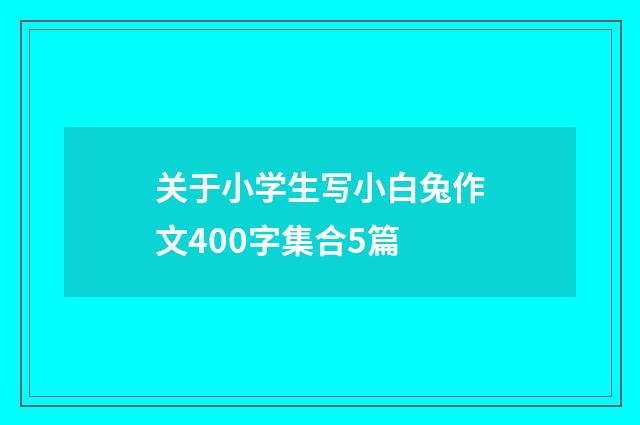 关于小学生写小白兔作文400字集合5篇