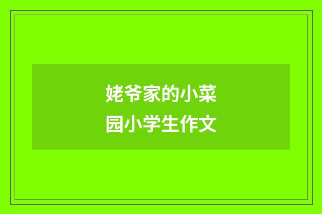 姥爷家的小菜园小学生作文