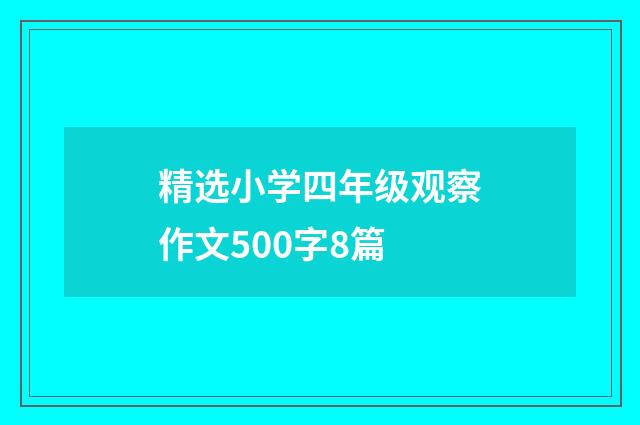 精选小学四年级观察作文500字8篇