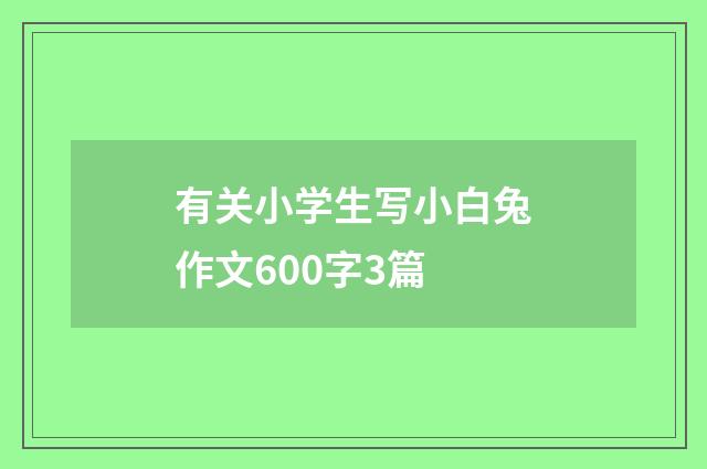 有关小学生写小白兔作文600字3篇