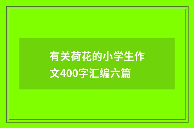有关荷花的小学生作文400字汇编六篇