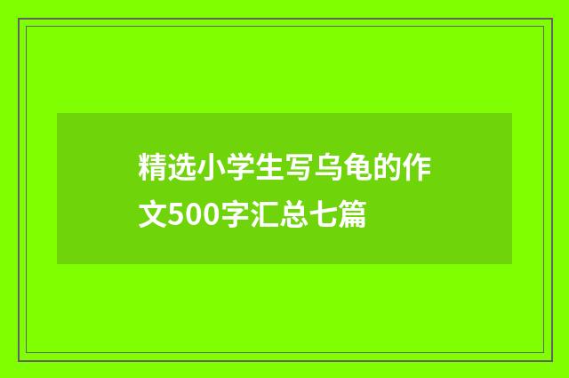 精选小学生写乌龟的作文500字汇总七篇