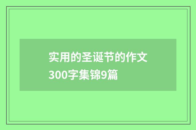 实用的圣诞节的作文300字集锦9篇