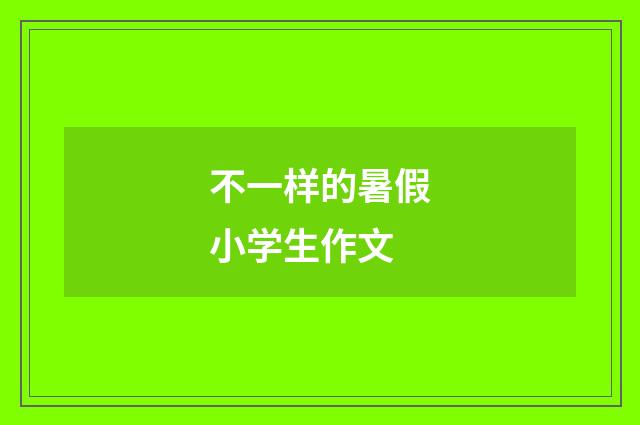 不一样的暑假小学生作文