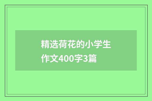 精选荷花的小学生作文400字3篇