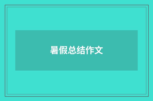暑假总结作文