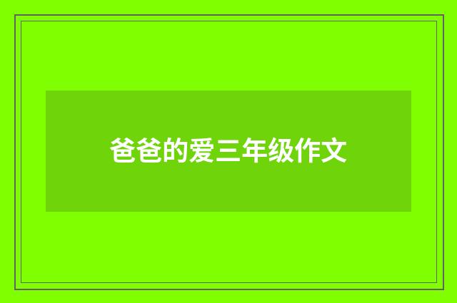 爸爸的爱三年级作文