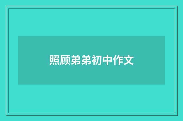 照顾弟弟初中作文