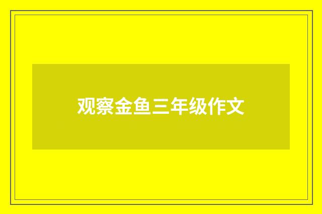 观察金鱼三年级作文