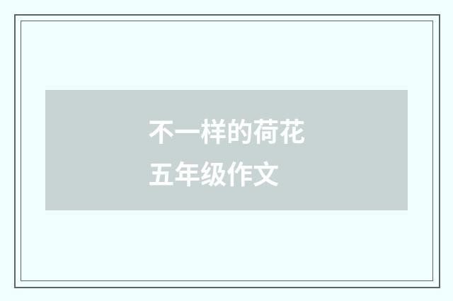 不一样的荷花五年级作文