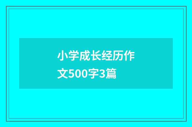 小学成长经历作文500字3篇