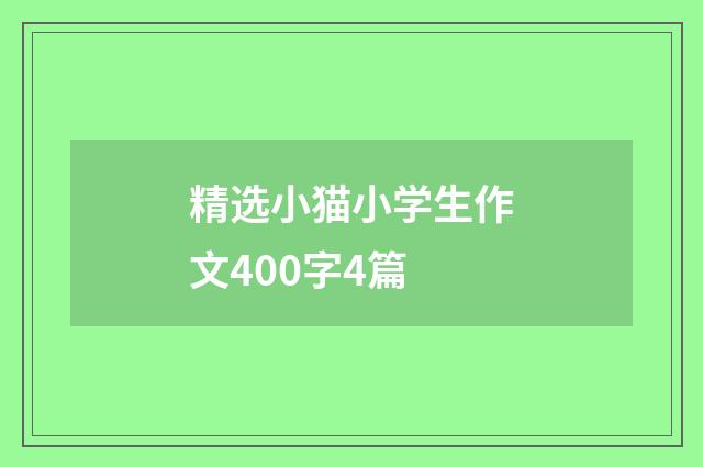 精选小猫小学生作文400字4篇