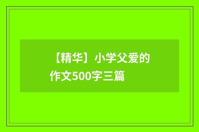 【精华】小学父爱的作文500字三篇