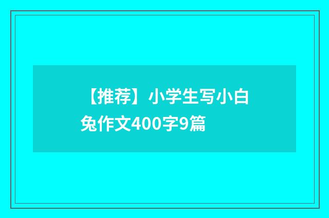 【推荐】小学生写小白兔作文400字9篇