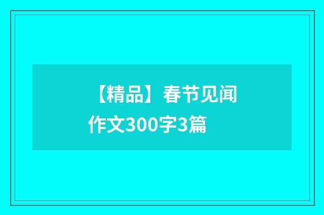 【精品】春节见闻作文300字3篇