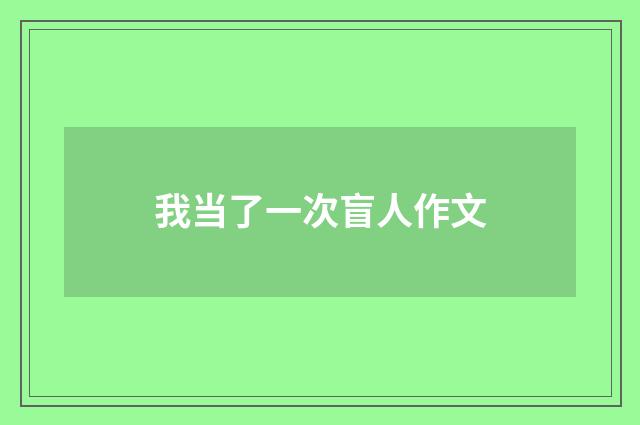 我当了一次盲人作文