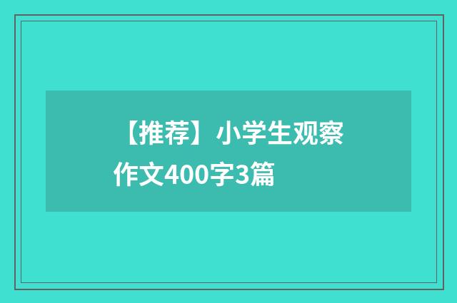 【推荐】小学生观察作文400字3篇