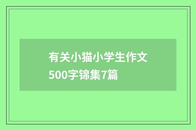 有关小猫小学生作文500字锦集7篇