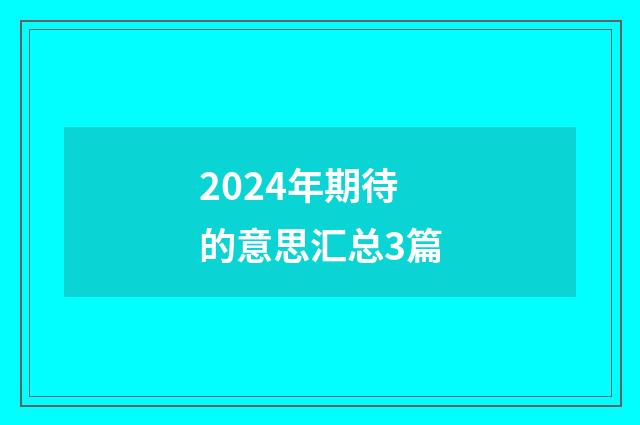 2024年期待的意思汇总3篇