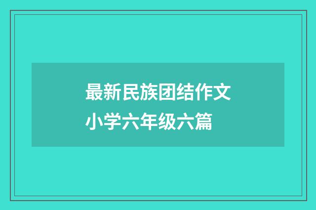 最新民族团结作文小学六年级六篇