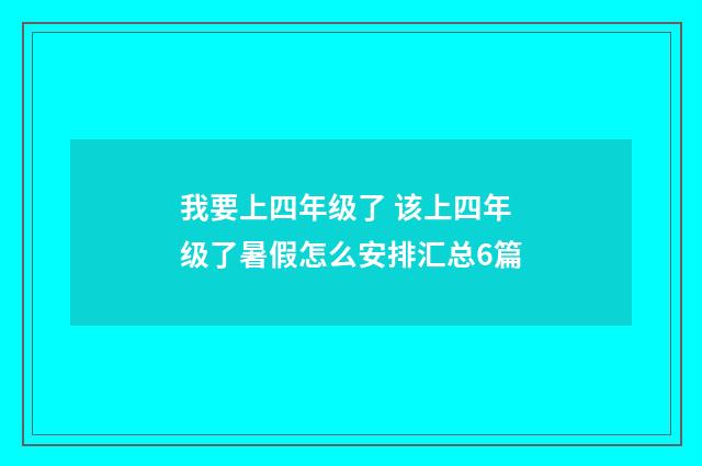 我要上四年级了 该上四年级了暑假怎么安排汇总6篇