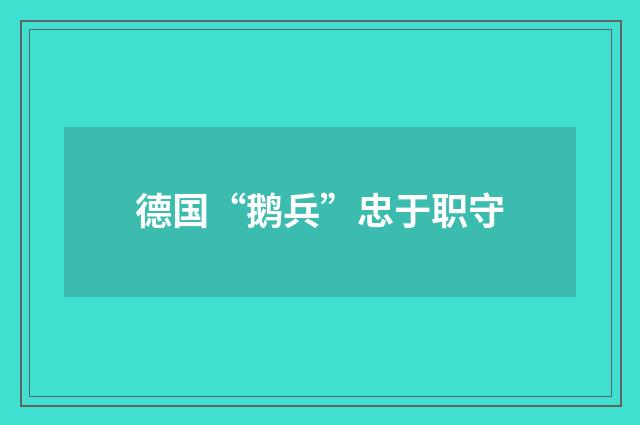 德国“鹅兵”忠于职守