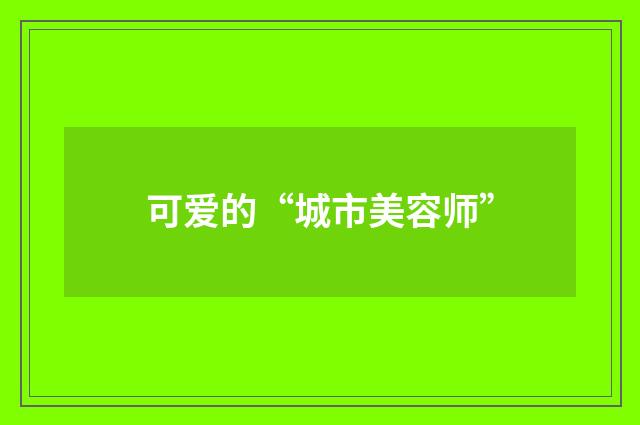 可爱的“城市美容师”