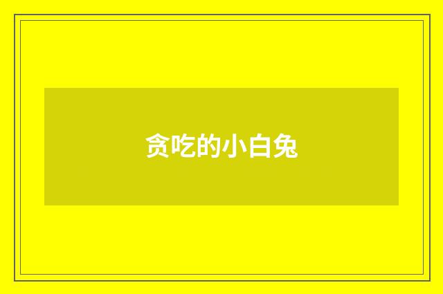 贪吃的小白兔